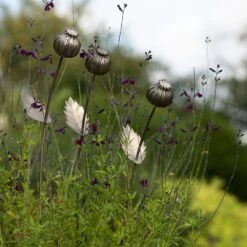 Poppy Seed Head Stake - Large Seed Head -Happy Garden pr2000046971 card5 lg