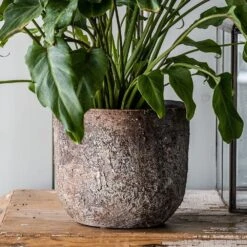 Rustic Plant Pot - Brown -Happy Garden pr2000047913 card4 lg