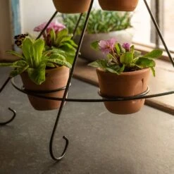 Tiered Plant Theatre - 6 Pots -Happy Garden pr2000048005 card6 lg