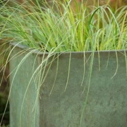Rectangular Terrace Planter - Verdigris -Happy Garden pr2000048712 card5 lg