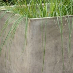 Square Terrace Planter - Weathered Cream -Happy Garden pr2000048723 card5 lg